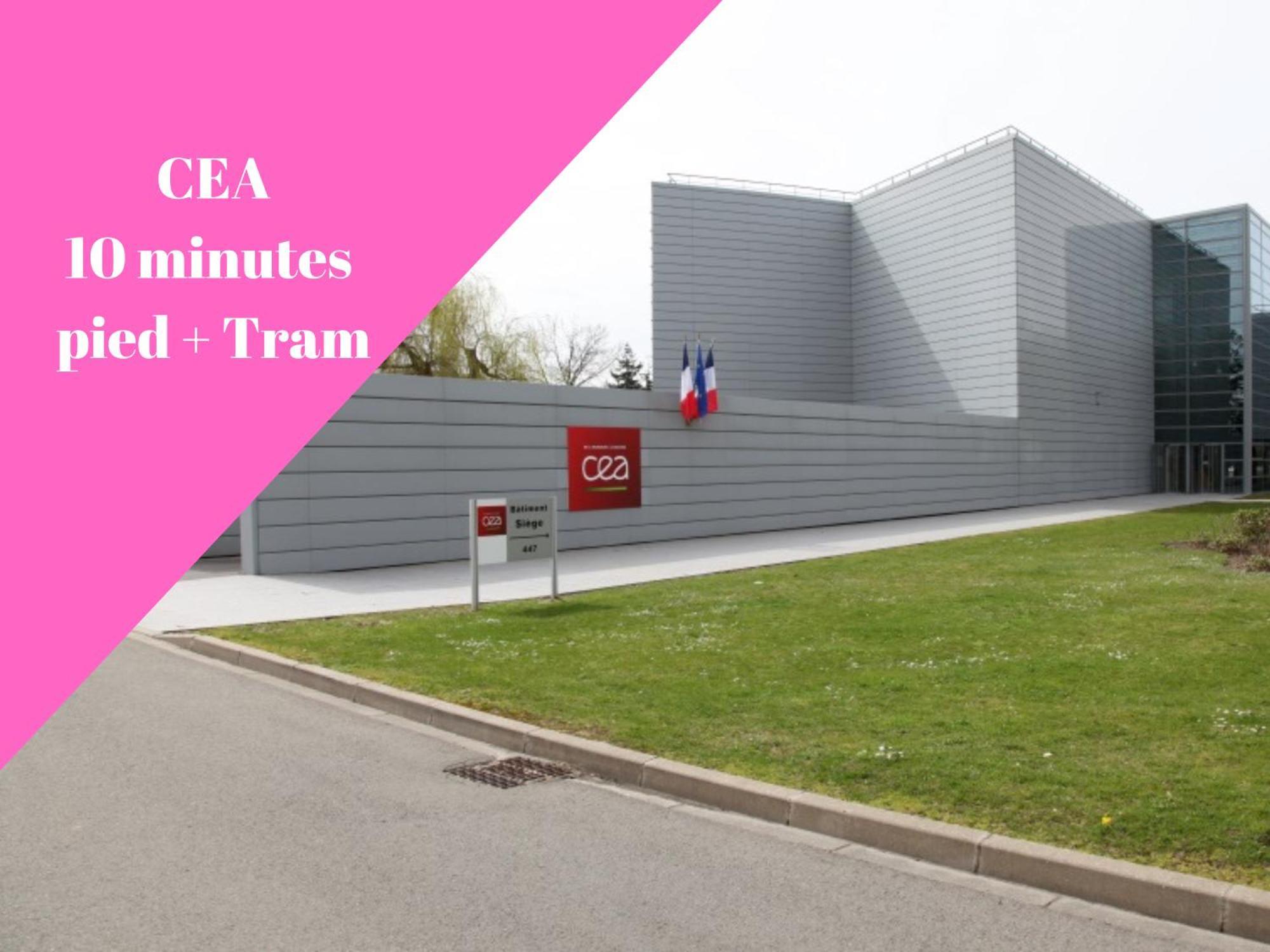 Vue Montagne - Appt Cosy Et Calme - Netflix - Fibre Apartment Grenoble Bagian luar foto